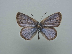  ( - JFC24010)  @11 [ ] Copyright (2024) Jean-Francois Charmeux Unspecified