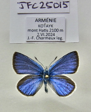  ( - JFC25015)  @11 [ ] Copyright (2025) Jean-François Charmeux Unspecified