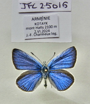  ( - JFC25016)  @11 [ ] Copyright (2025) Jean-François Charmeux Unspecified