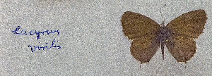  ( - RDwth08)  @11 [ ] Copyright (2025) Robert Ducarme Unspecified
