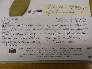  ( - L8_4515)  @11 [ ] Unspecified (default): All Rights Reserved  Unspecified Unspecified
