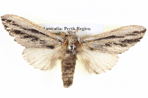  ( - BIOUG04099-A07)  @14 [ ] CreativeCommons - Attribution (2012) CBG Photography Group Centre for Biodiversity Genomics