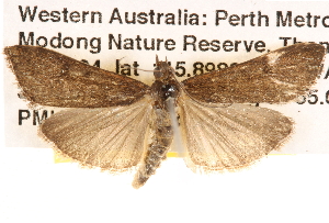  ( - BIOUG14246-B05)  @14 [ ] CreativeCommons - Attribution (2014) CBG Photography Group Centre for Biodiversity Genomics