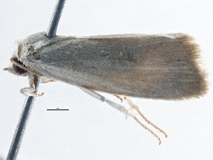  ( - BIOUG10399-B02)  @12 [ ] CreativeCommons - Attribution (2014) CBG Photography Group Centre for Biodiversity Genomics