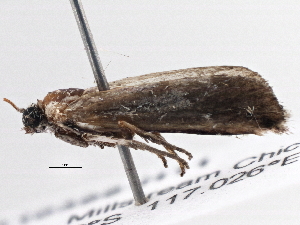  ( - BIOUG10399-H11)  @12 [ ] CreativeCommons - Attribution (2014) CBG Photography Group Centre for Biodiversity Genomics