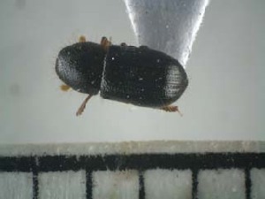  ( - USNM ENT 01014674)  @12 [ ] No Rights Reserved  Unspecified Unspecified