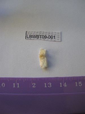  ( - WBET001)  @13 [ ] Unspecified (default): All Rights Reserved  Unspecified Unspecified