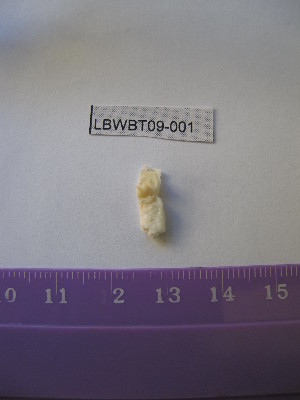  ( - WBET001)  @13 [ ] Unspecified (default): All Rights Reserved  Unspecified Unspecified