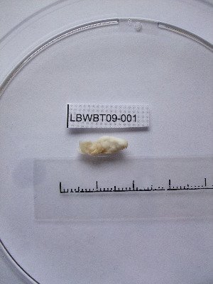  ( - WBET001)  @13 [ ] Unspecified (default): All Rights Reserved  Unspecified Unspecified