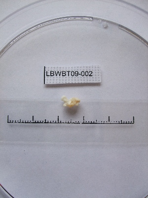  ( - WBET002)  @12 [ ] Unspecified (default): All Rights Reserved  Unspecified Unspecified