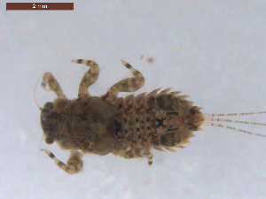  ( - BIOUG00638-F06)  @13 [ ] CreativeCommons - Attribution (2011) Centre for Biodiversity Genomics Centre for Biodiversity Genomics