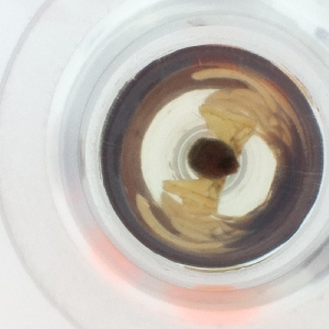  ( - WFEN_036_G11)  @11 [ ] by  Genome Research Ltd as Wellcome Sanger Institute Genome Research Limited operating as Wellcome Sanger Institute