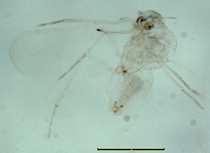  ( - ww07765)  @12 [ ] Unspecified (default): All Rights Reserved  Unspecified Unspecified