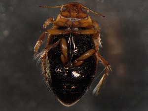  ( - WYNDD-0394)  @11 [ ] nrr (2022) Unspecified WYNDD