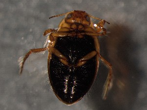  ( - WYNDD-0470)  @11 [ ] nrr (2022) Unspecified WYNDD