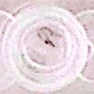  ( - ROM-88973-87)  @11 [ ] Unspecified (default): All Rights Reserved  Unspecified Unspecified