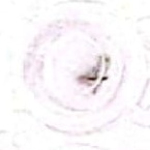  ( - UOG-debu01134333-13)  @11 [ ] Unspecified (default): All Rights Reserved  Unspecified Unspecified