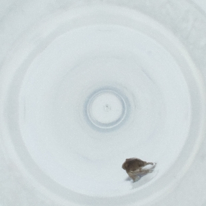  ( - MOZZ00000927A_B3)  @11 [ ] by (2004) Genome Research Ltd as Wellcome Sanger Institute Genome Research Limited operating as Wellcome Sanger Institute