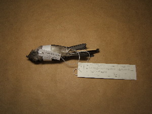  ( - 1998-0012)  @13 [ ] Copyright (2013) Takema  Saitoh Yamashina Institute for Ornithology