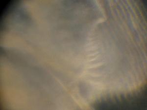  ( - ZMXII-578)  @12 [ ] Unspecified (default): All Rights Reserved  Unspecified Unspecified
