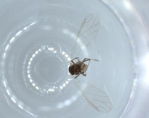  ( - BIOUG53822-A08)  @11 [ ] CreativeCommons - Attribution (2020) Centre for Biodiversity Genomics Centre for Biodiversity Genomics