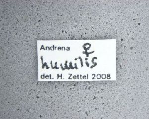  ( - NHMW-HYM 1997)  @11 [ ] Unspecified (default): All Rights Reserved (2017) Unspecified Natural History Museum Vienna
