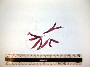  ( - GWS001597)  @11 [ ] Unspecified (default): All Rights Reserved  Unspecified Unspecified