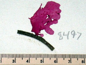  ( - GWS008497)  @11 [ ] Unspecified (default): All Rights Reserved  Unspecified Unspecified