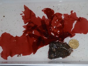  ( - GWS027323)  @11 [ ] Unspecified (default): All Rights Reserved  Unspecified Unspecified