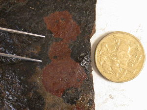  ( - GWS027591)  @11 [ ] Unspecified (default): All Rights Reserved  Unspecified Unspecified