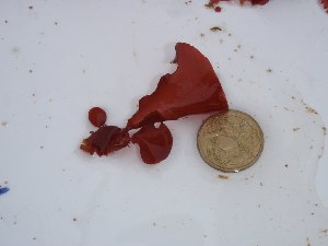  ( - GWS027907)  @11 [ ] Unspecified (default): All Rights Reserved  Unspecified Unspecified