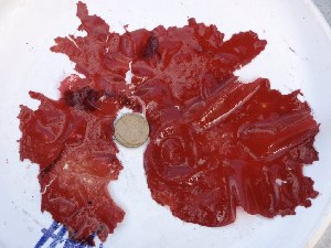  ( - GWS028177)  @11 [ ] Unspecified (default): All Rights Reserved  Unspecified Unspecified