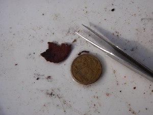  ( - GWS028193)  @11 [ ] Unspecified (default): All Rights Reserved  Unspecified Unspecified
