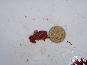  ( - GWS028569)  @11 [ ] Unspecified (default): All Rights Reserved  Unspecified Unspecified