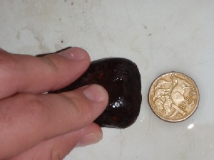  ( - GWS031229)  @11 [ ] Unspecified (default): All Rights Reserved  Unspecified Unspecified