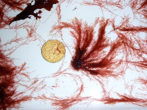  ( - GWS034083)  @11 [ ] Unspecified (default): All Rights Reserved  Unspecified Unspecified
