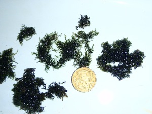  ( - GWS034084)  @11 [ ] Unspecified (default): All Rights Reserved  Unspecified Unspecified
