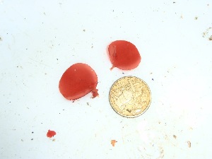  ( - GWS034848)  @11 [ ] Unspecified (default): All Rights Reserved  Unspecified Unspecified