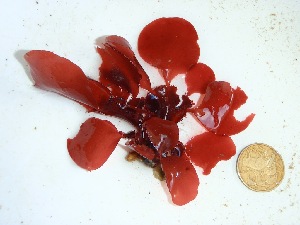  ( - GWS034879)  @11 [ ] Unspecified (default): All Rights Reserved  Unspecified Unspecified