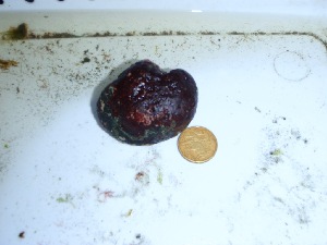  ( - GWS035230)  @11 [ ] Unspecified (default): All Rights Reserved  Unspecified Unspecified
