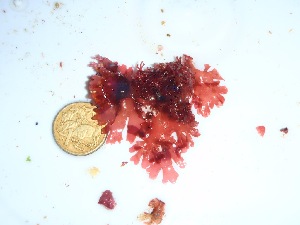  ( - GWS035388)  @11 [ ] Unspecified (default): All Rights Reserved  Unspecified Unspecified