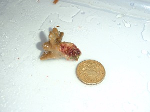  ( - GWS035523)  @11 [ ] Unspecified (default): All Rights Reserved  Unspecified Unspecified