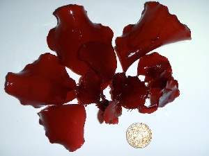  ( - GWS035652)  @11 [ ] Unspecified (default): All Rights Reserved  Unspecified Unspecified