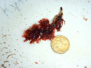  ( - GWS035661)  @11 [ ] Unspecified (default): All Rights Reserved  Unspecified Unspecified