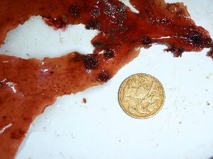  ( - GWS035663)  @11 [ ] Unspecified (default): All Rights Reserved  Unspecified Unspecified
