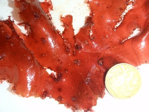  ( - GWS035732)  @11 [ ] Unspecified (default): All Rights Reserved  Unspecified Unspecified