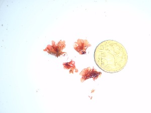  ( - GWS035750)  @11 [ ] Unspecified (default): All Rights Reserved  Unspecified Unspecified