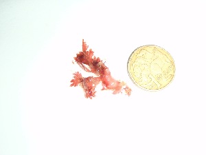  ( - GWS035802)  @11 [ ] Unspecified (default): All Rights Reserved  Unspecified Unspecified