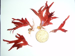  ( - GWS035863)  @11 [ ] Unspecified (default): All Rights Reserved  Unspecified Unspecified