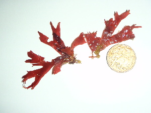  ( - GWS036052)  @11 [ ] Unspecified (default): All Rights Reserved  Unspecified Unspecified